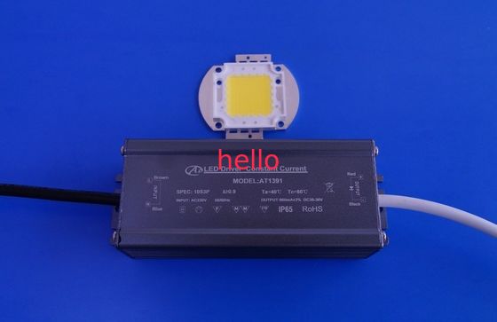 AC 110V/220V leidde Lichte Bestuurder, LEIDENE Constante Huidige Voeding 30W - 40W