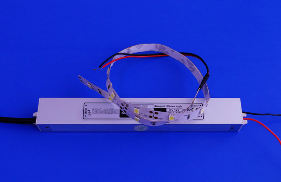 12V LEIDENE Strook Lichte voeding