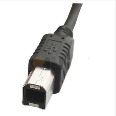 Een mannetje aan van de kabelusb van B Mannelijk van de de Gegevensoverdracht de Telegrafische boekingentarief Tot 480Mbps